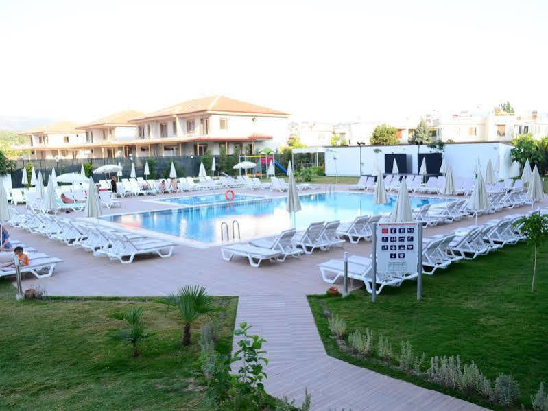 My Aegean Star