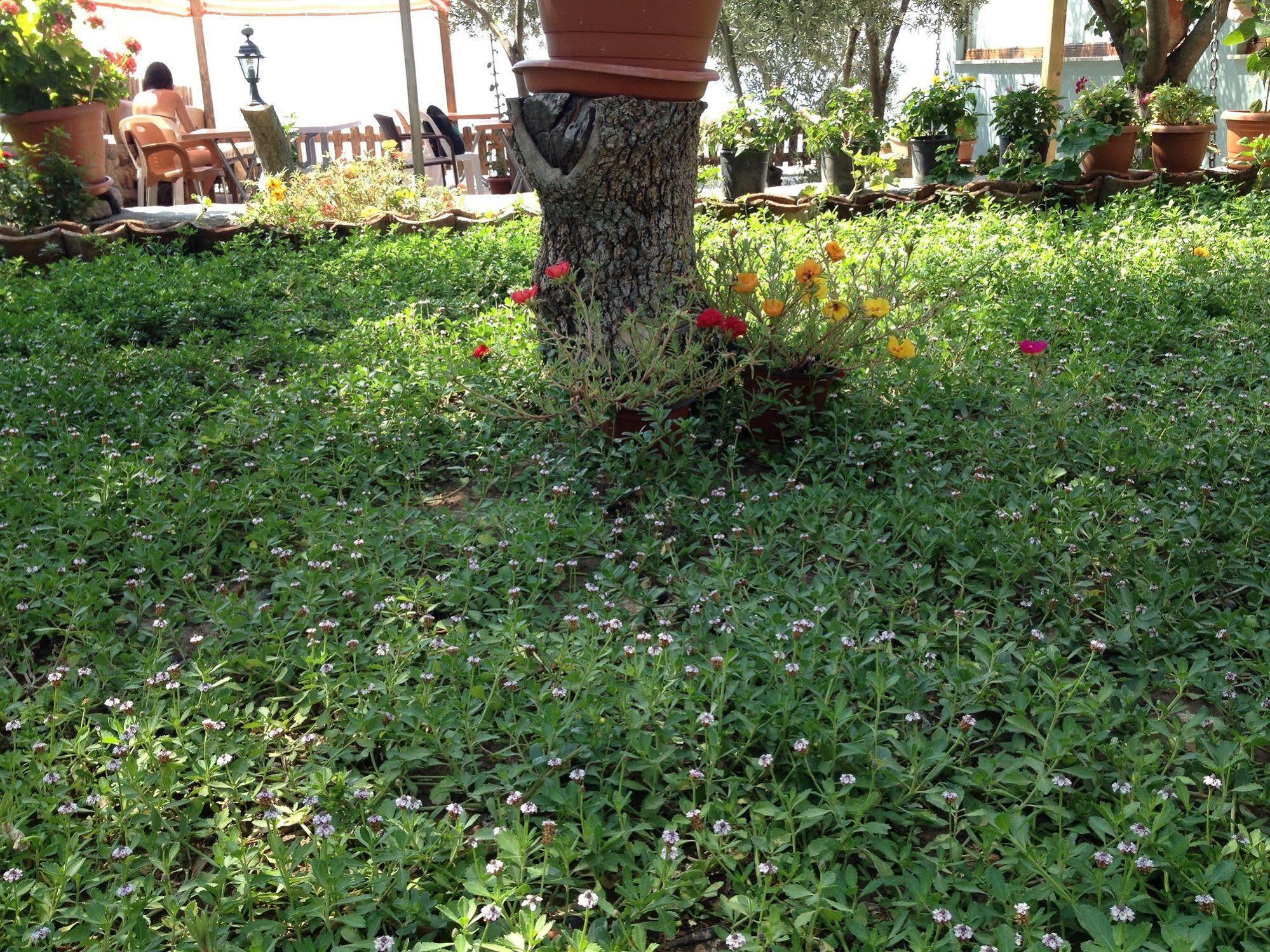 Hotel Nazan & Restaurant &