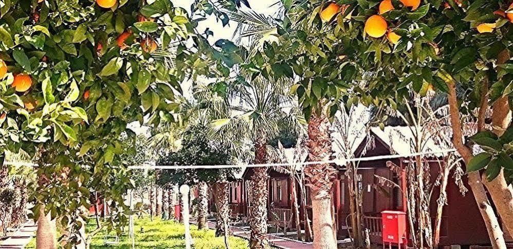 Aparthotel Dream Park Titreyengol