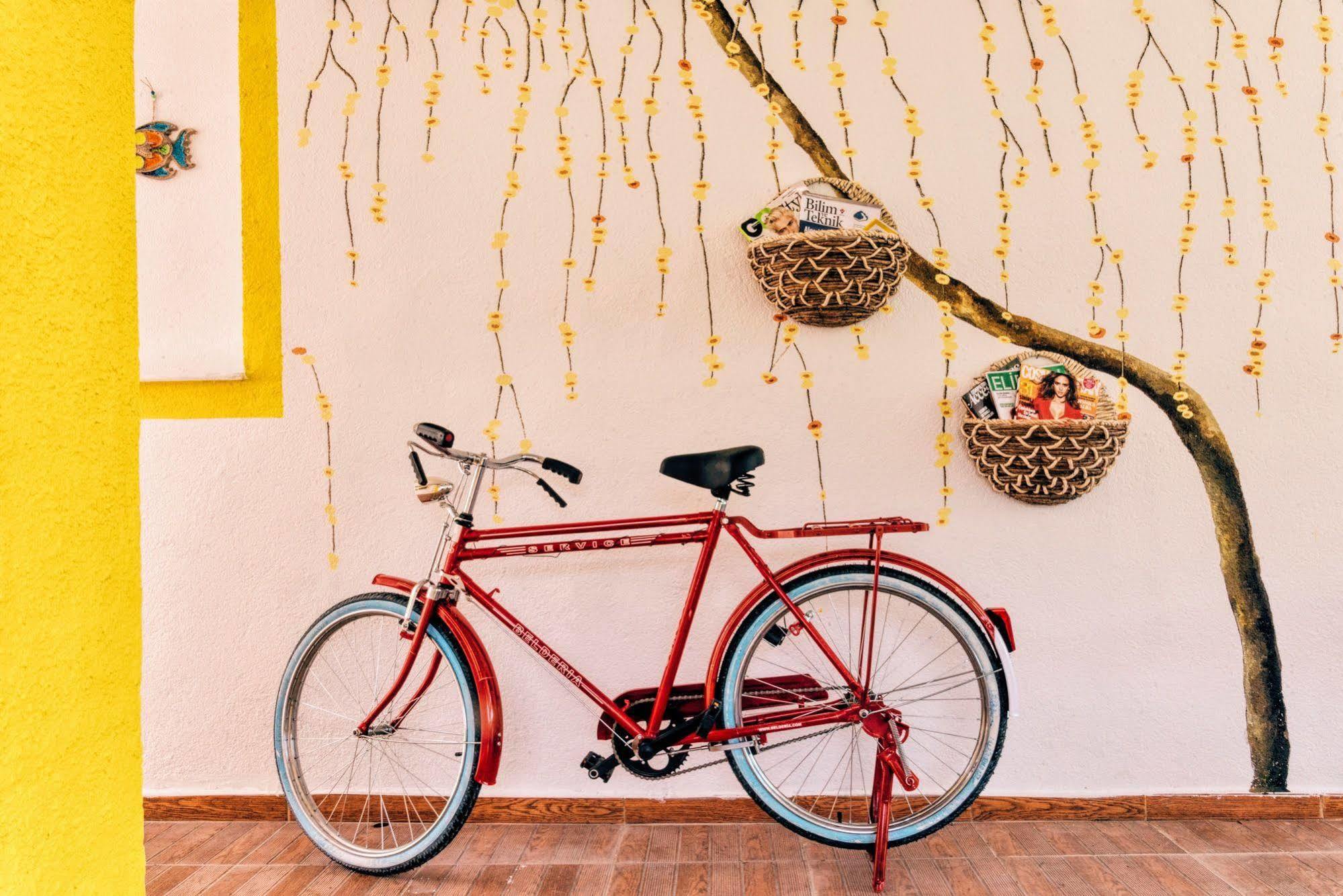 Bed & Breakfast Limon Foca