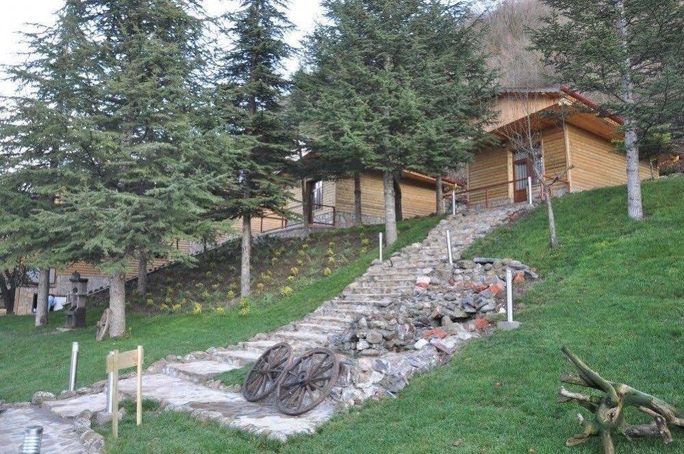 Garden Termal *