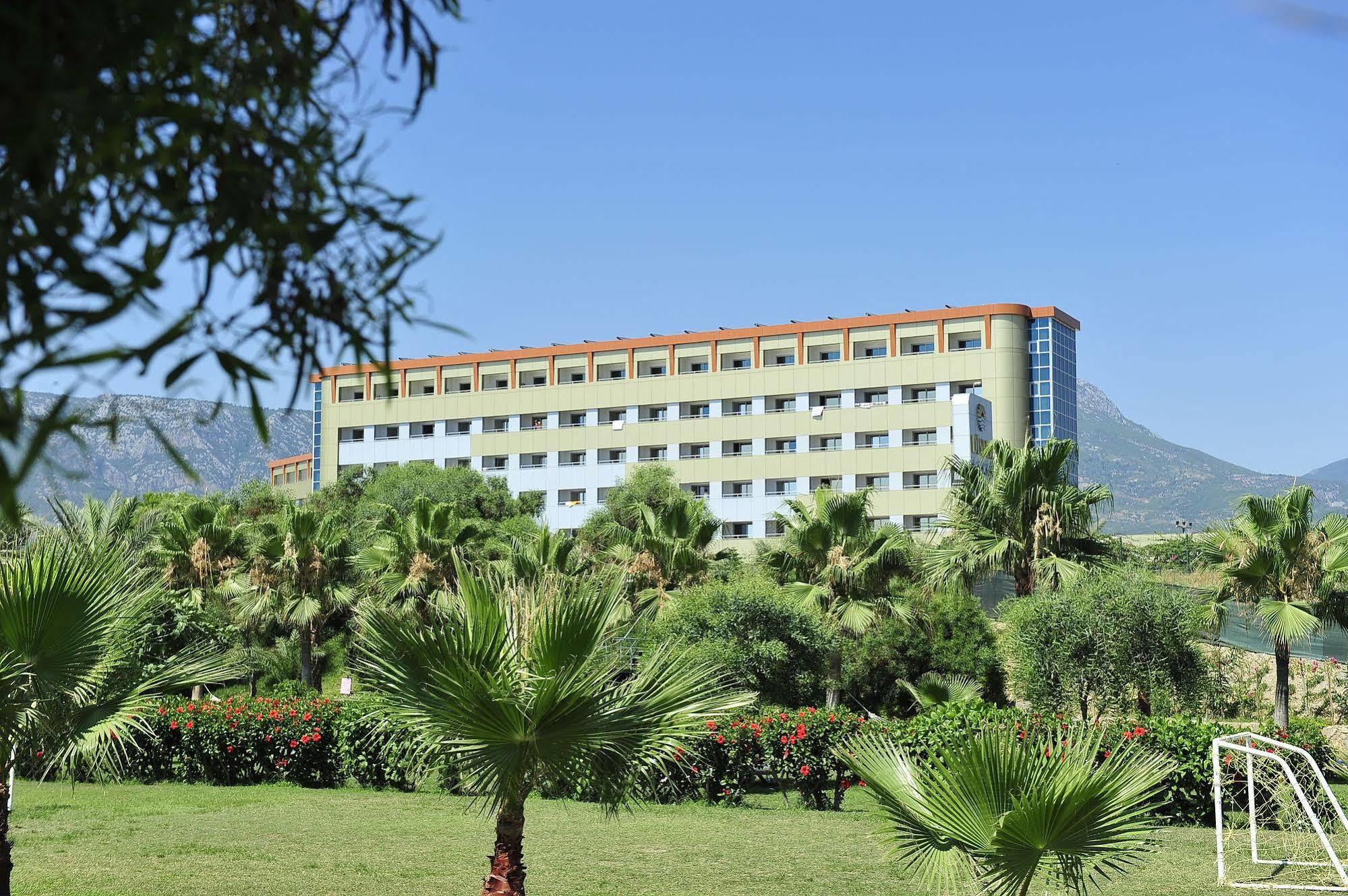 Kirbiyik Kargicak (Alanya)