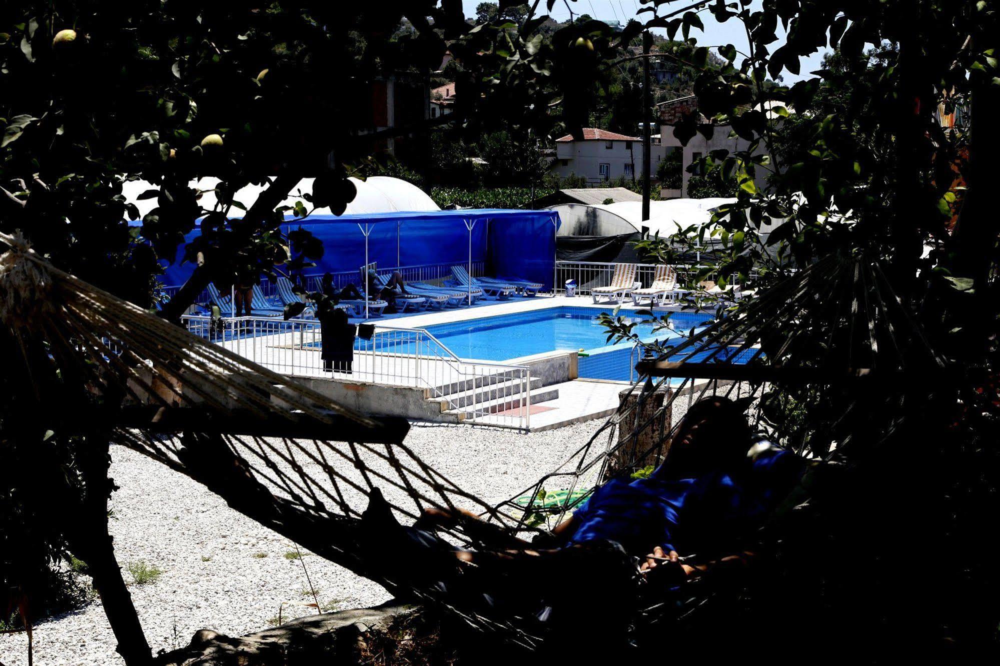 Rose Guest house 3*