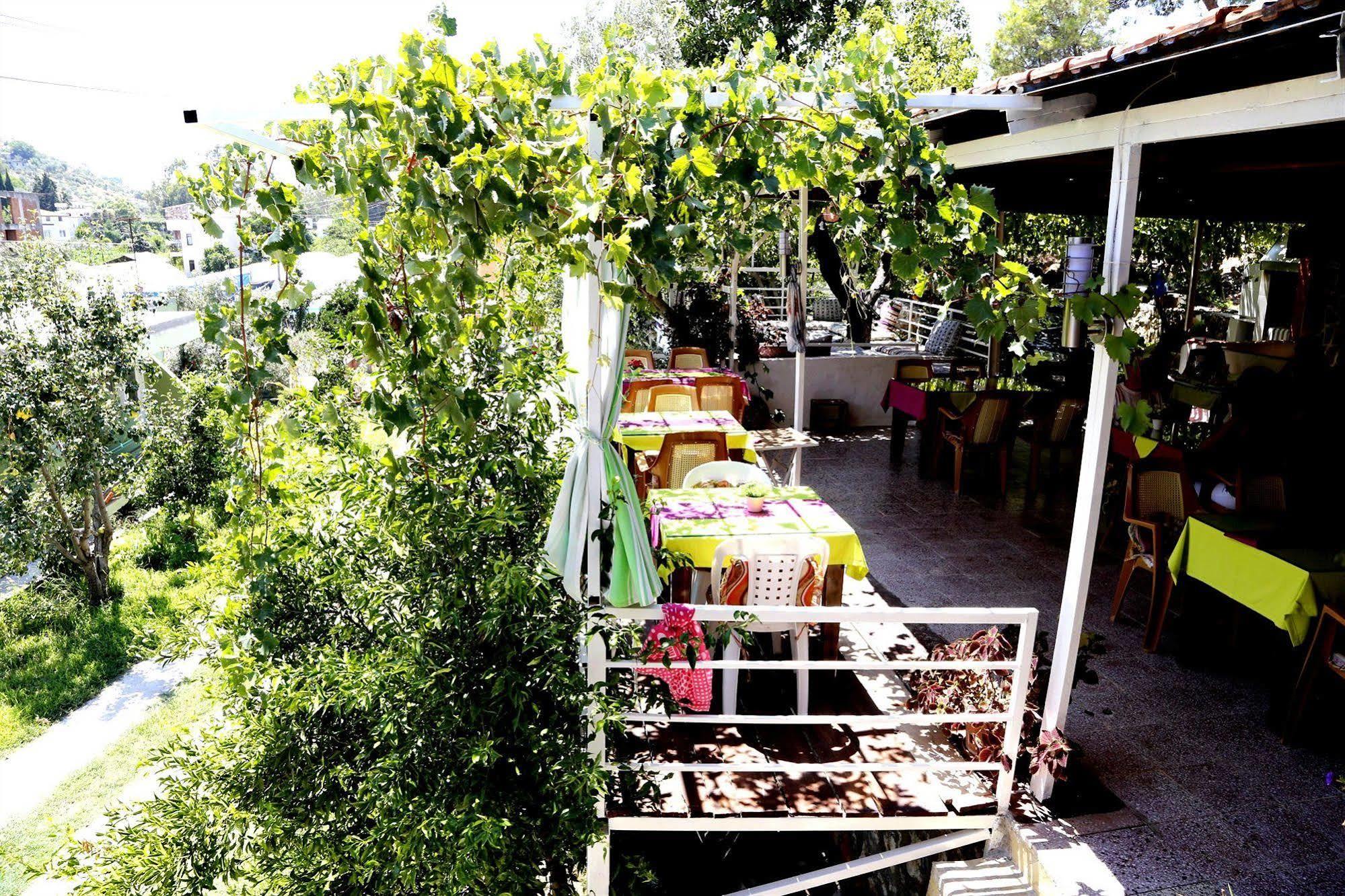 Rose Guest house