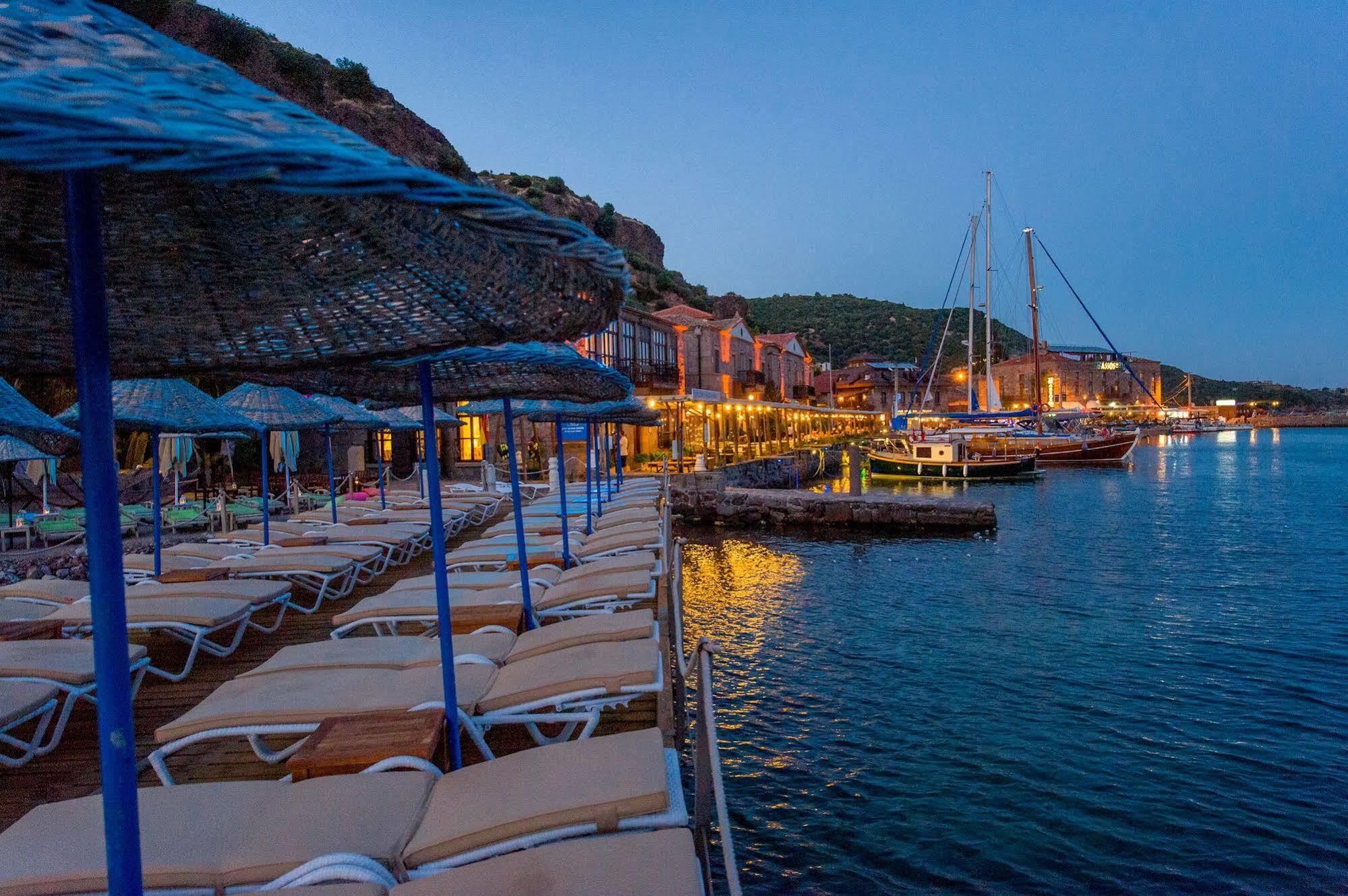 Special Class Adults Only Assos
