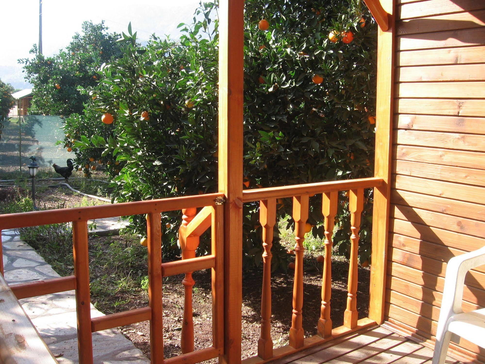 Ugur Hotel
