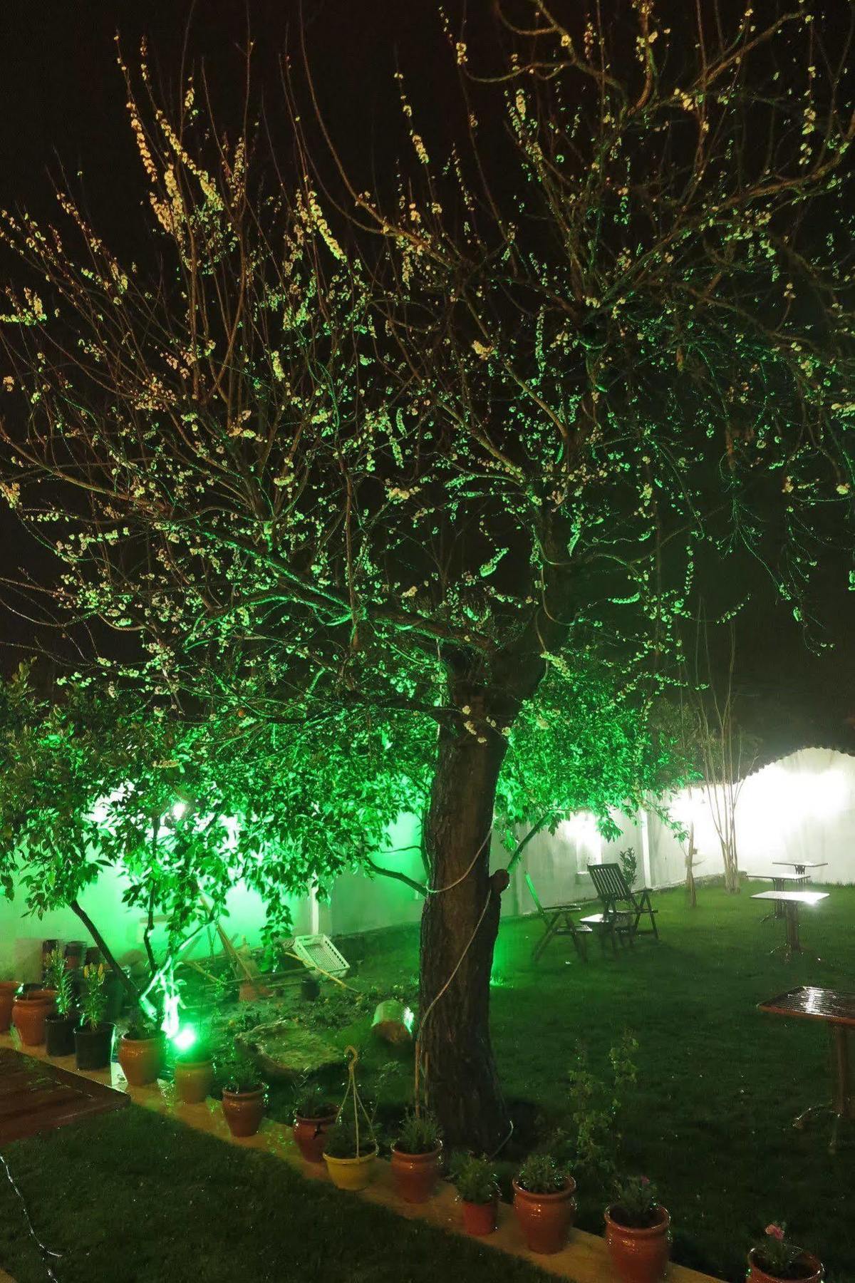 Ephesus Paradise Hotel