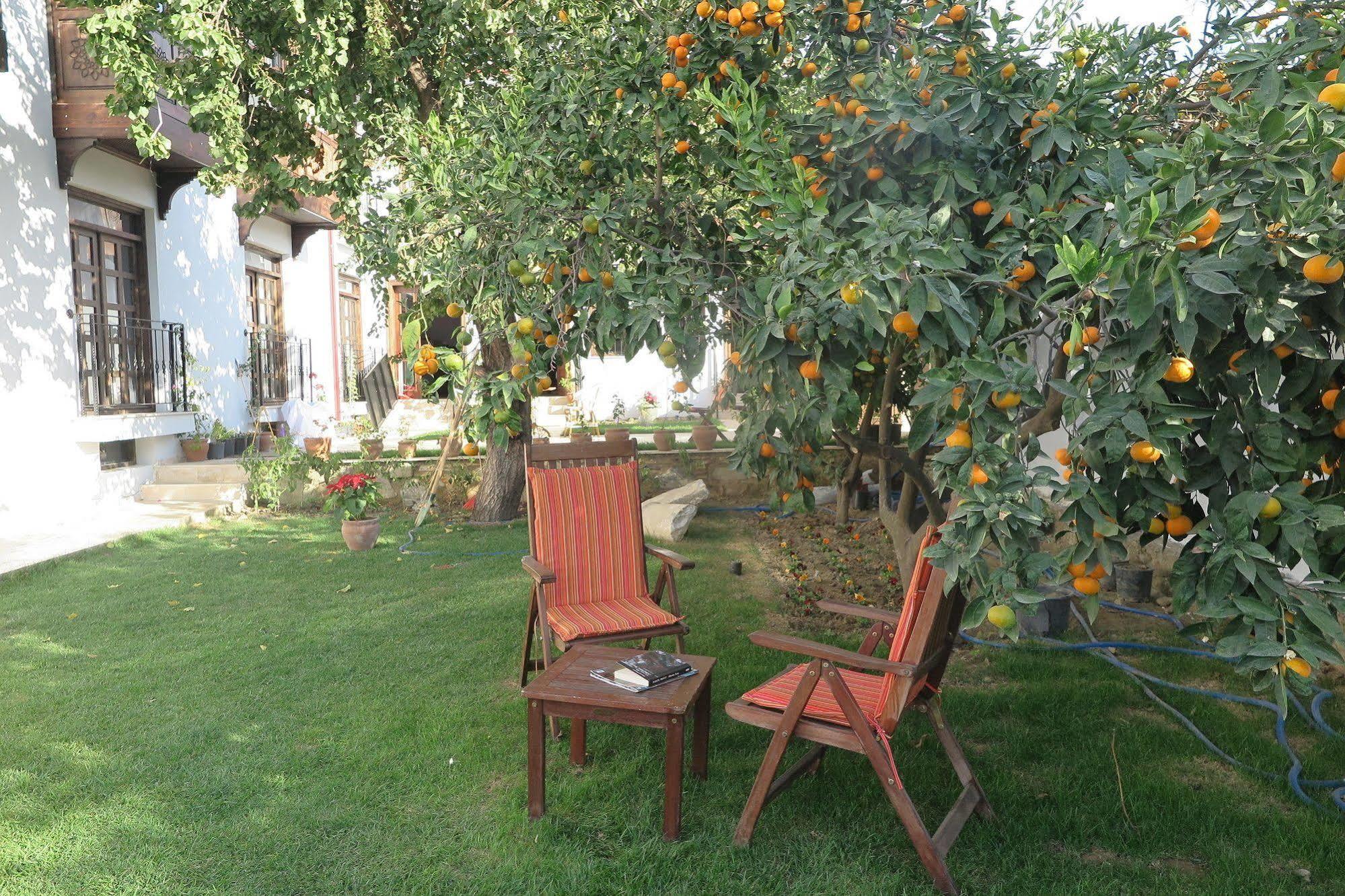 Ephesus Paradise