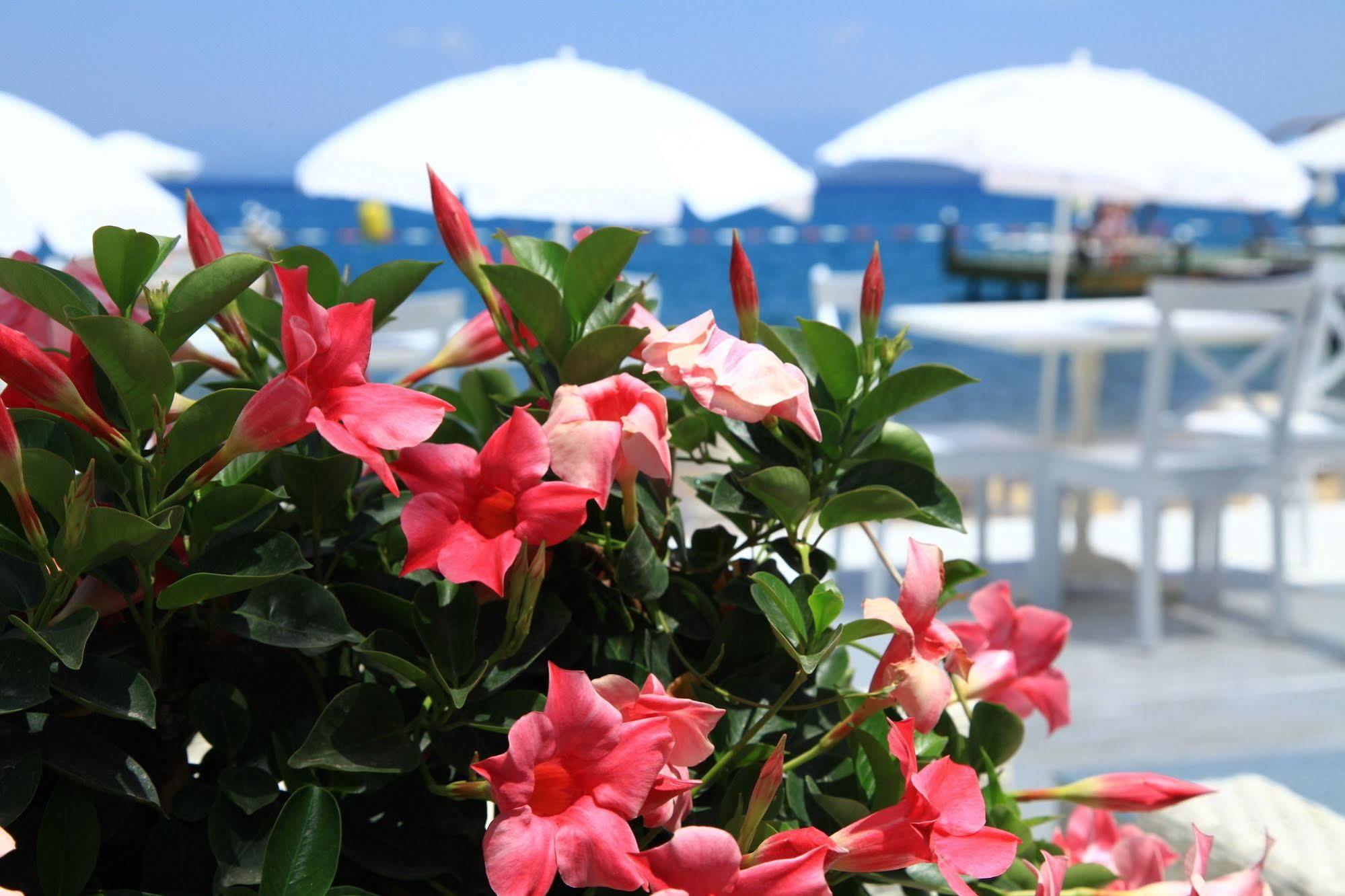 Grand Yazici Club Resort