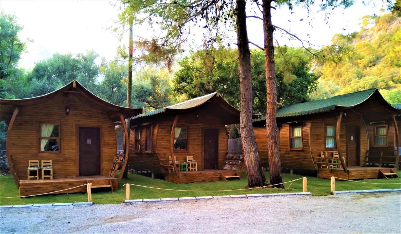 Pine & Bungallows 4*