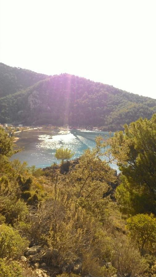 Pinar's Bungalow Houses Bed & Breakfast