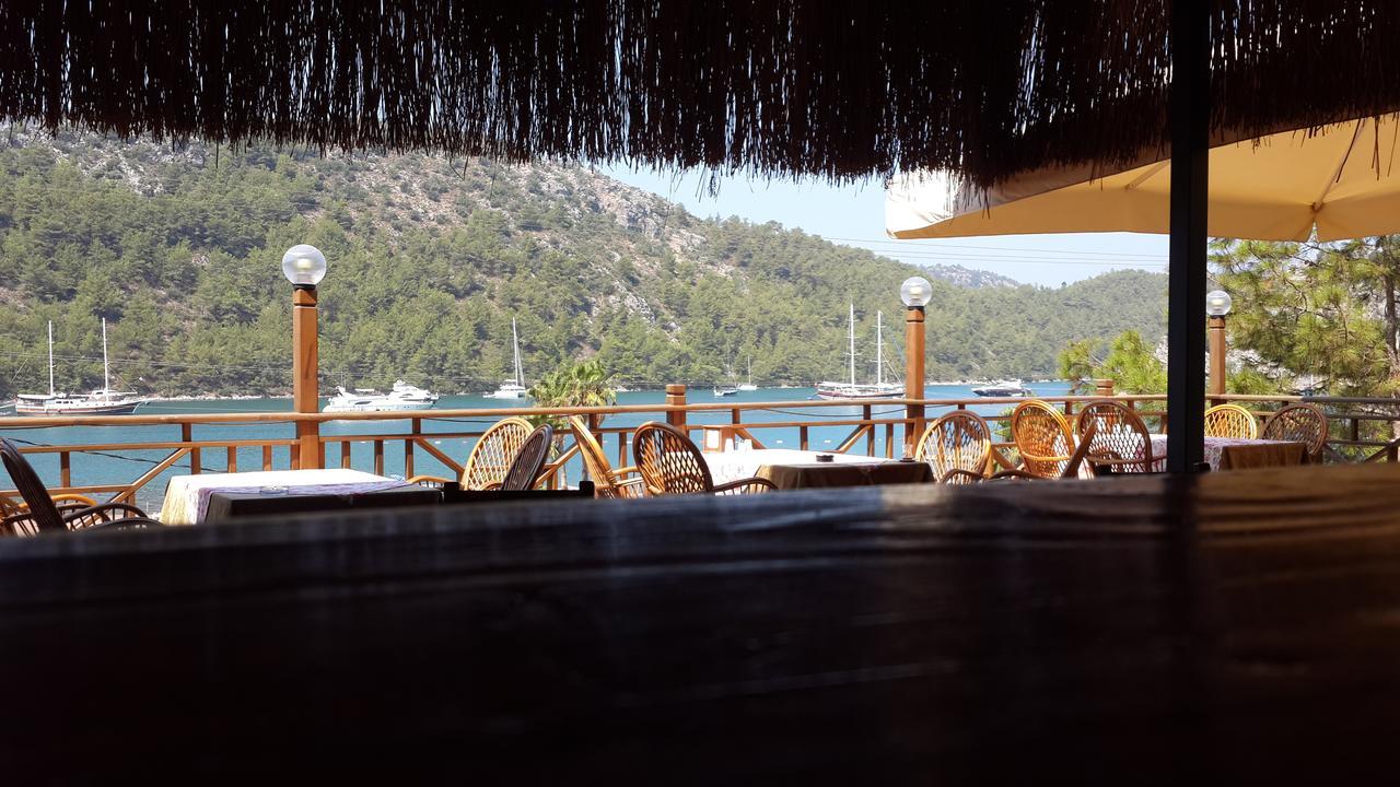 Pinar's Bungalow Houses Bed & Breakfast
