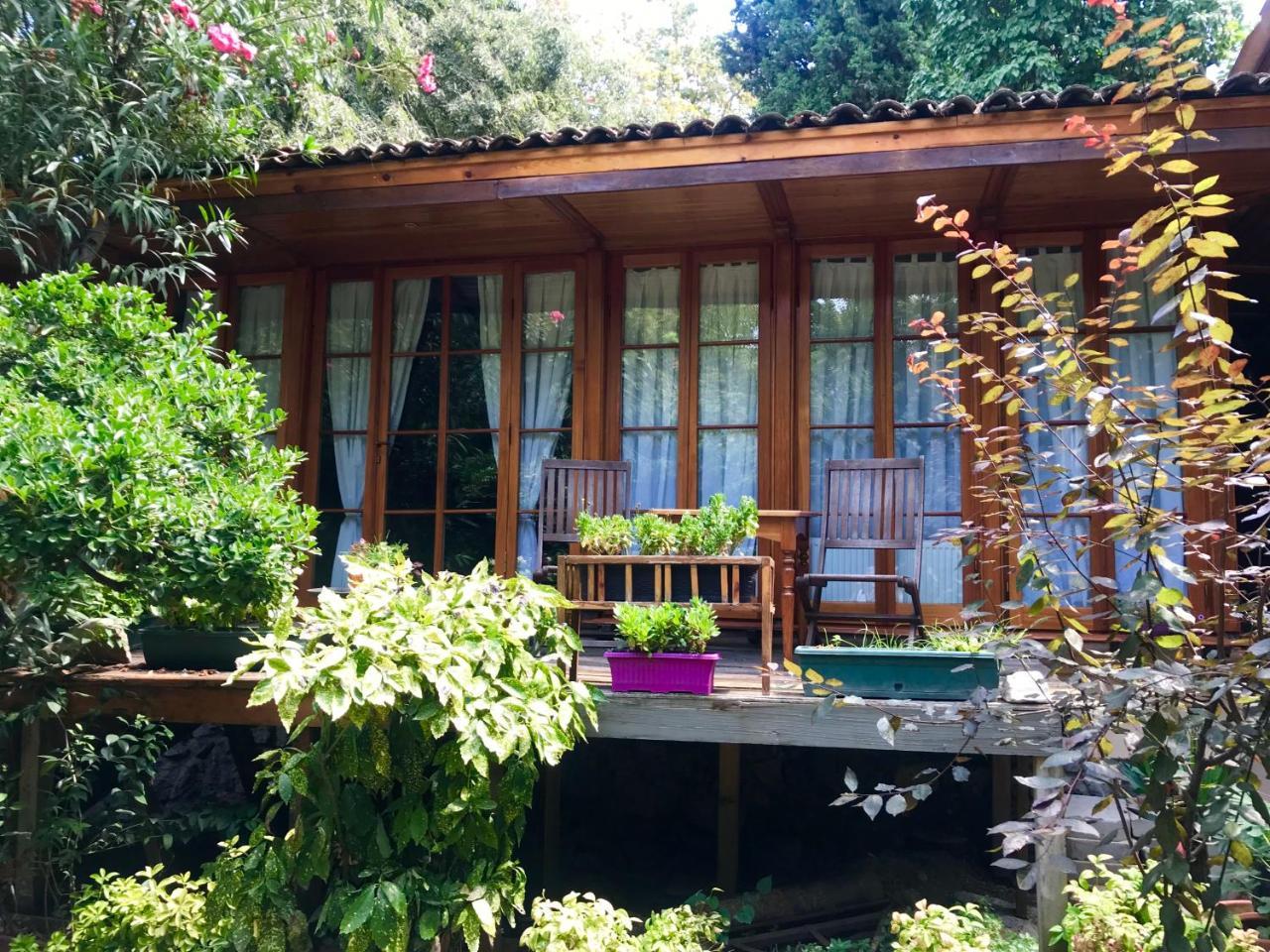 Tuzla Yacht Club Homestay *
