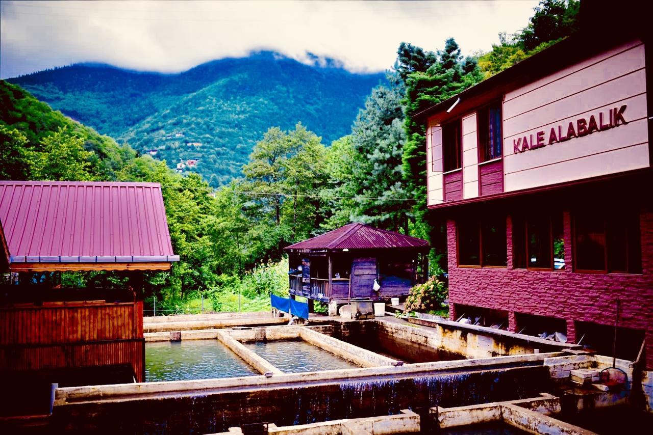 Homestay Isikli Kale *
