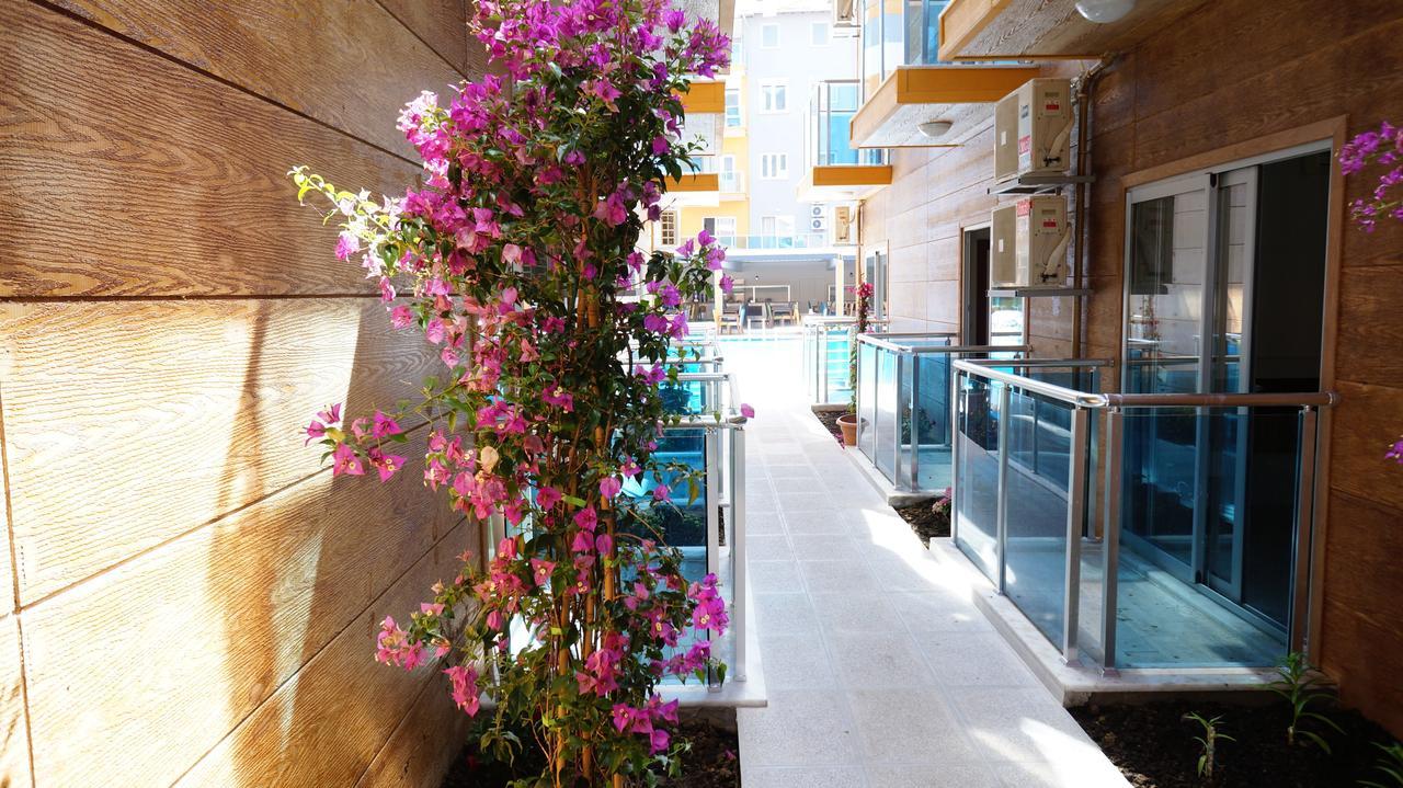 Hotel Arsi Enfi 4*
