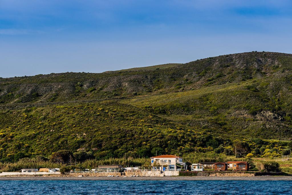 Lipsos Yeniliman