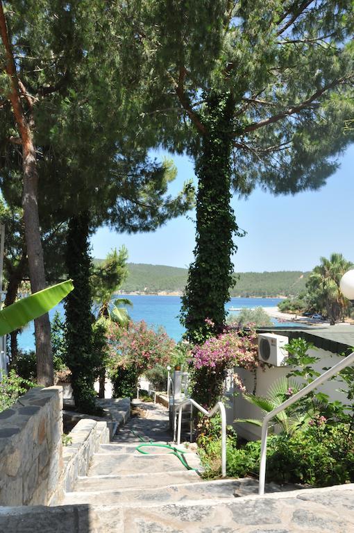 Hotel Greenport Bodrum 3*