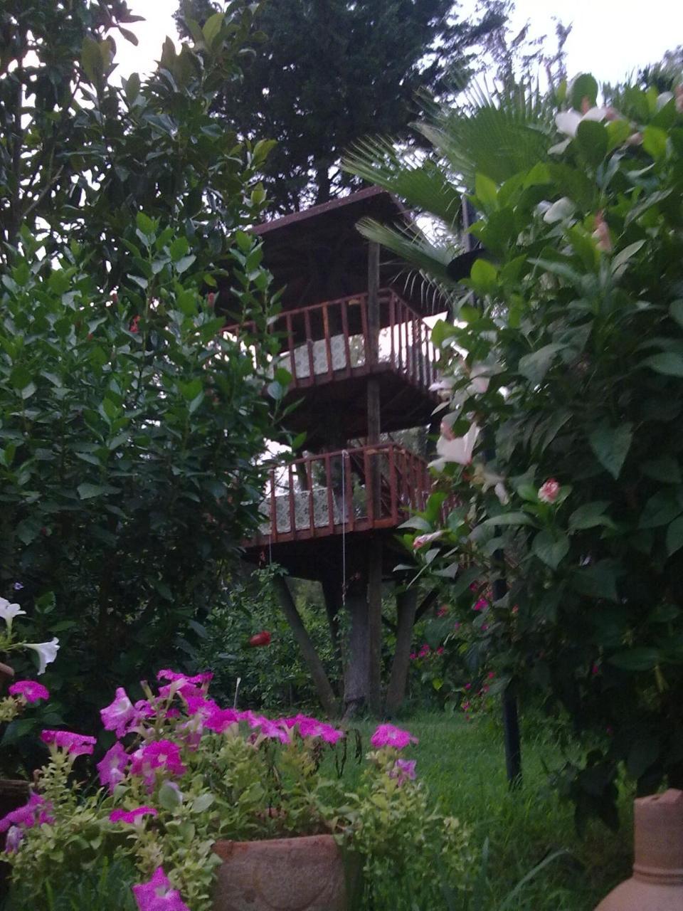Holiday park Kibala