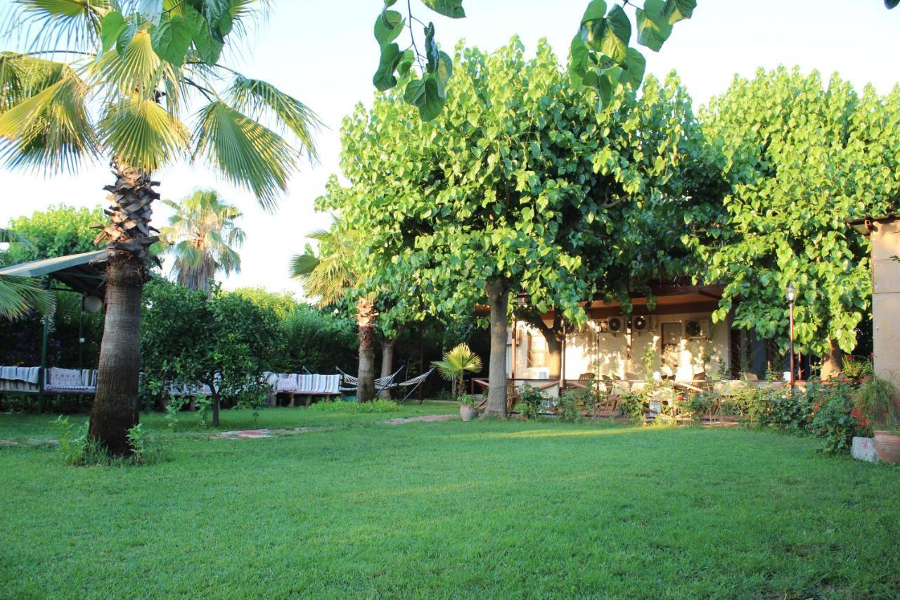 Cesur Pansiyon Guest house 2*