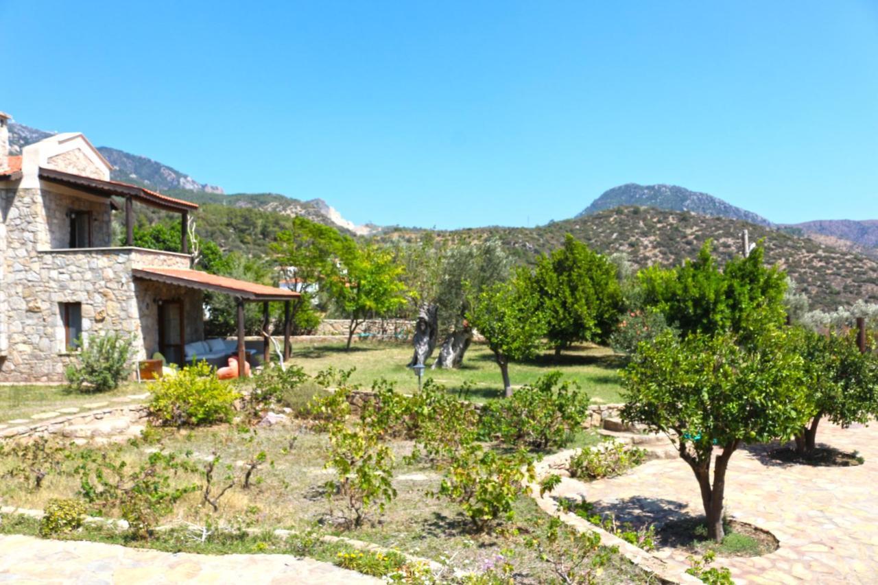 Zephyros Mesudiye (Datca)
