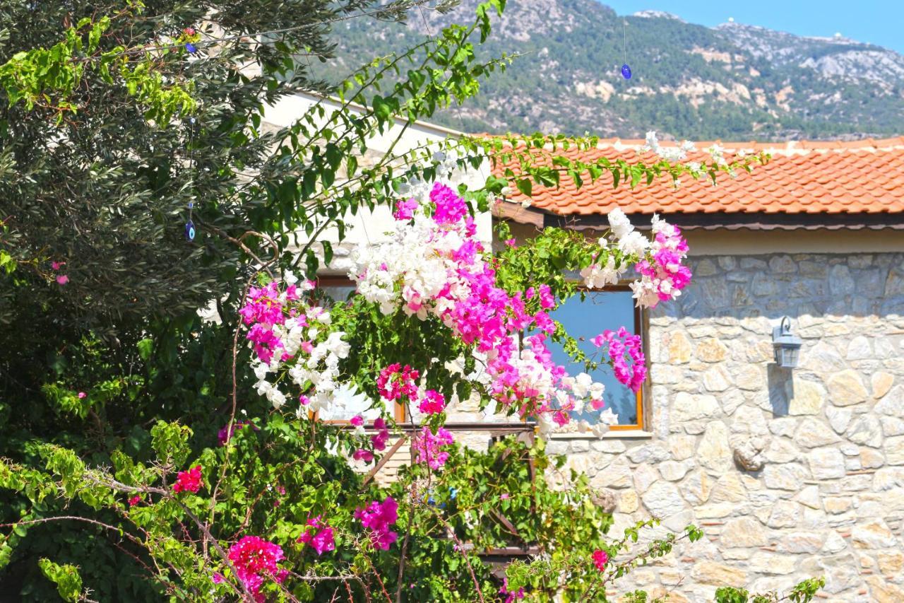 Hotel Zephyros