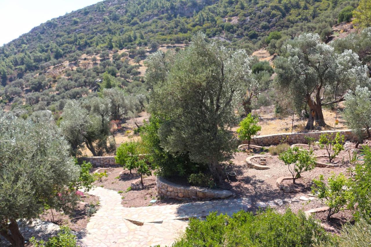 Zephyros Mesudiye (Datca)