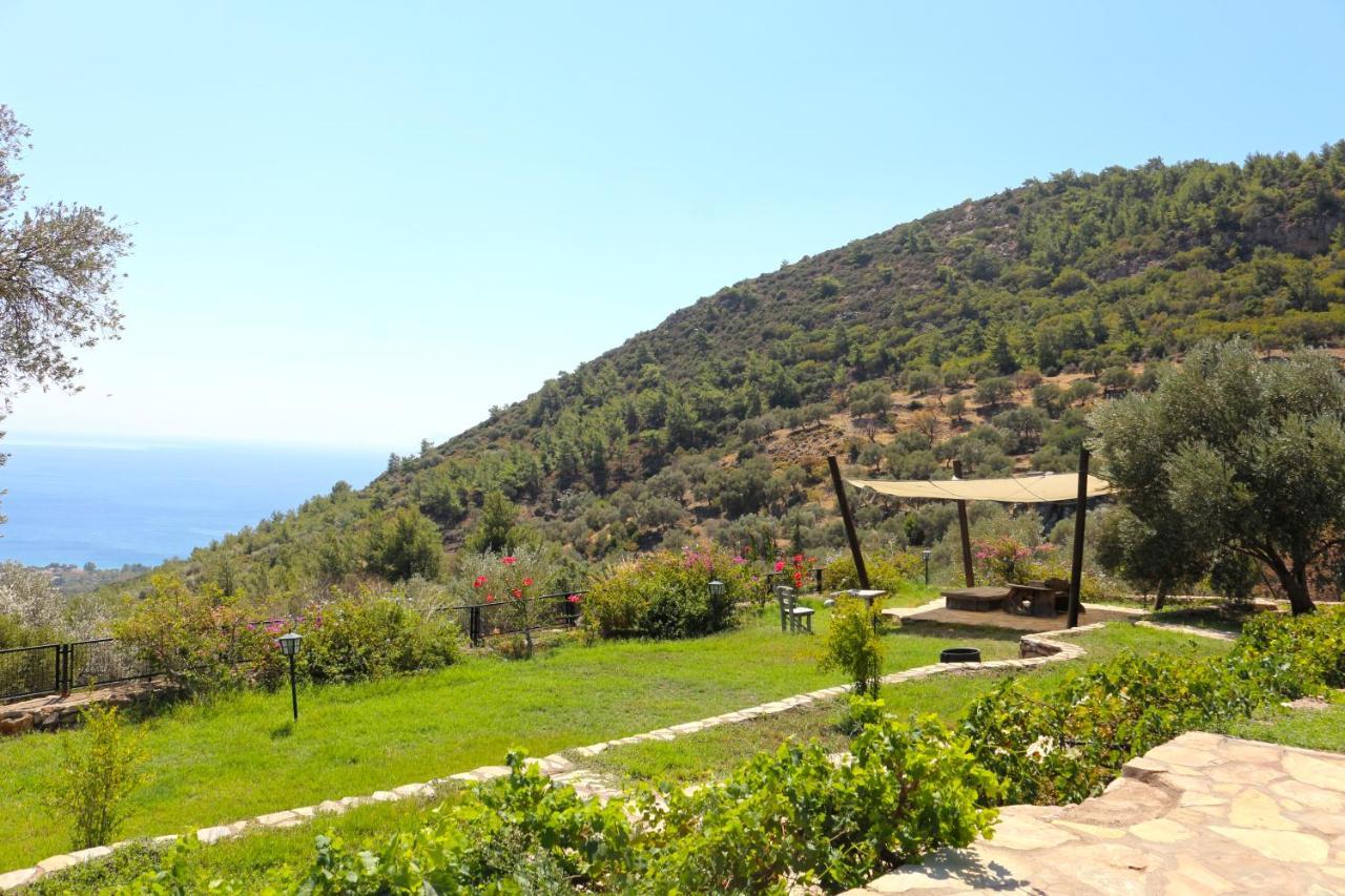 Zephyros Hotel Mesudiye (Datca)