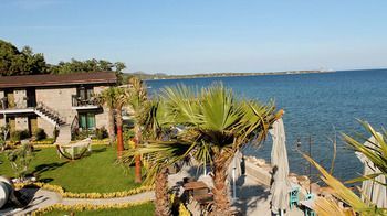 Assos Zeytin Special Class (adults Only) *