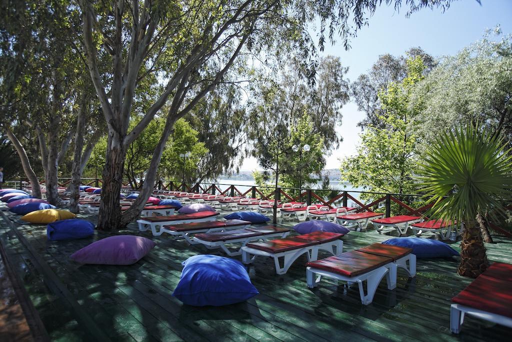 Halic Park