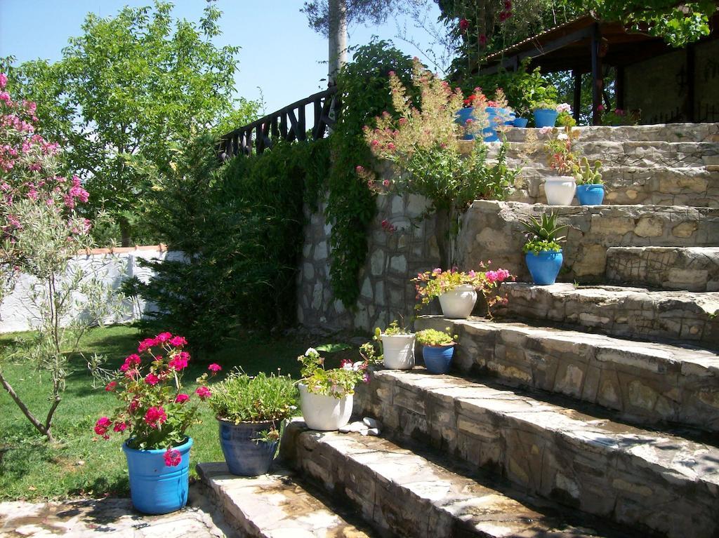 Guest house Bakkhos 3*