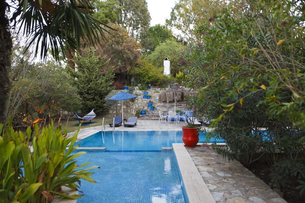 Bakkhos 3* Kusadasi