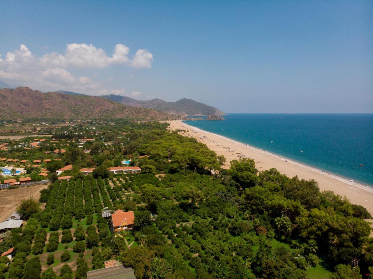 Guest house Baraka House Cirali
