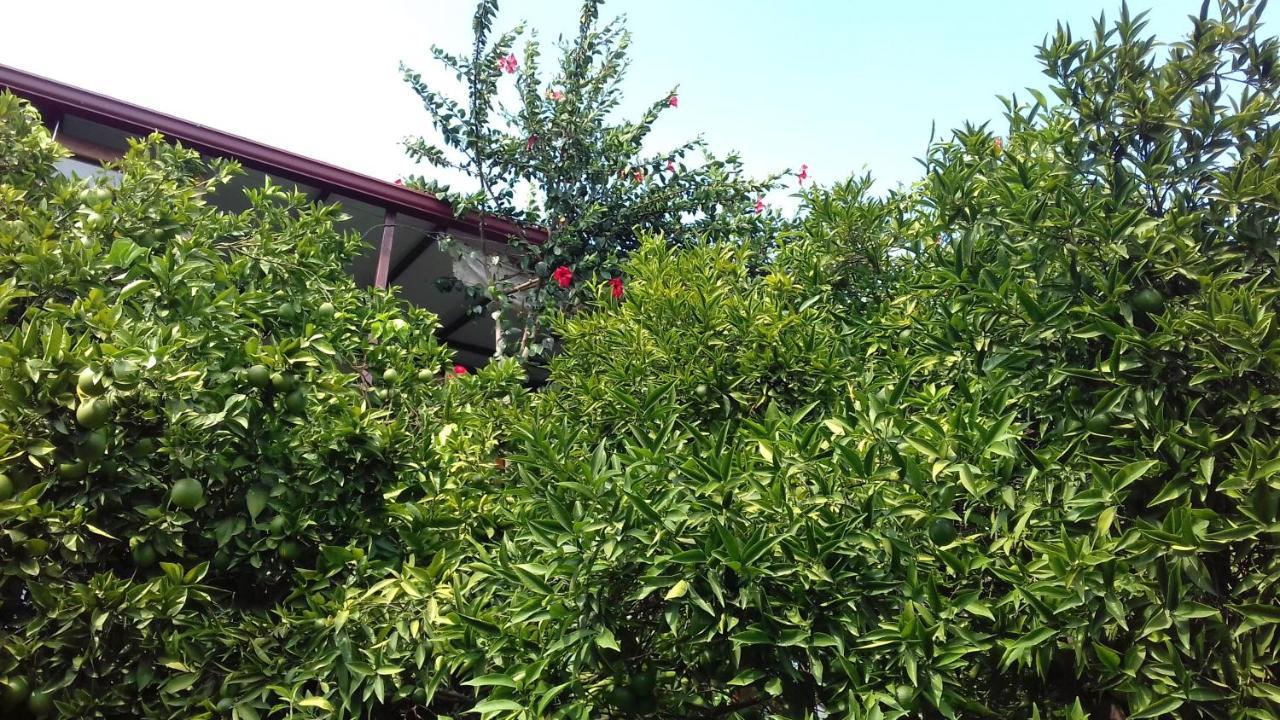 Guest house Cennet Pansiyon Kaleucagiz