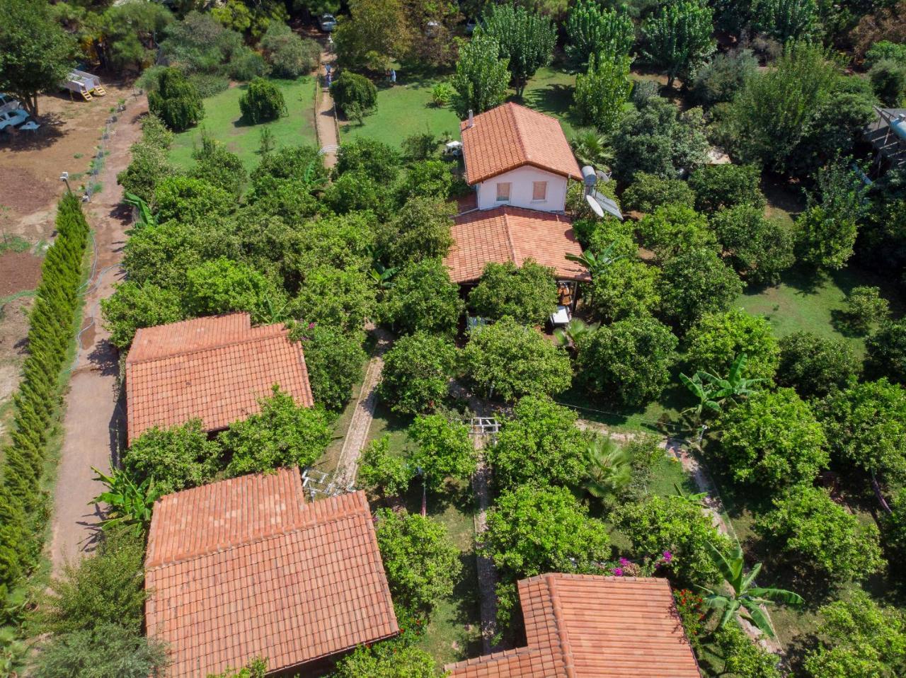 Guest house Baraka House Cirali