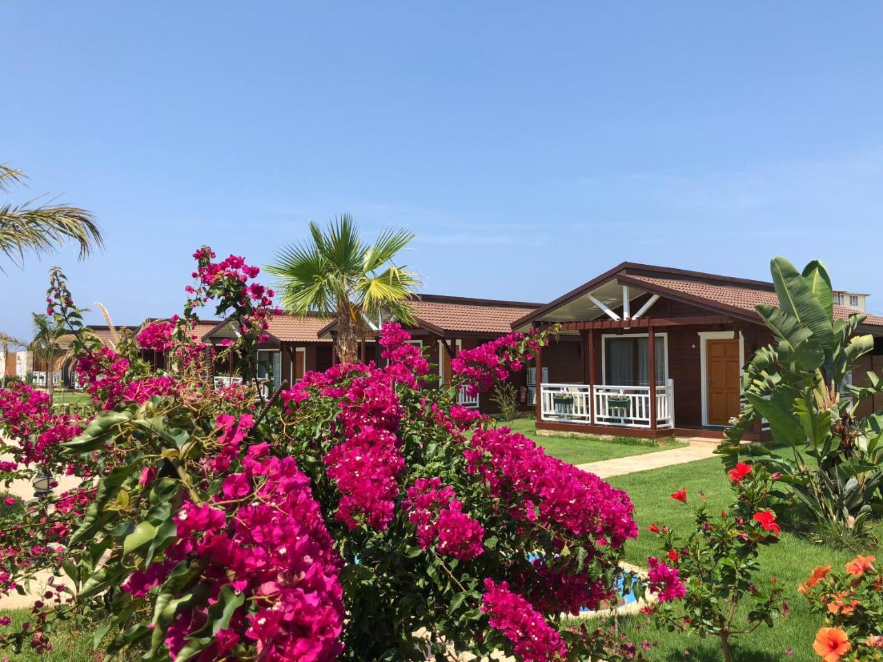 Sedir Park - Bed & Breakfast