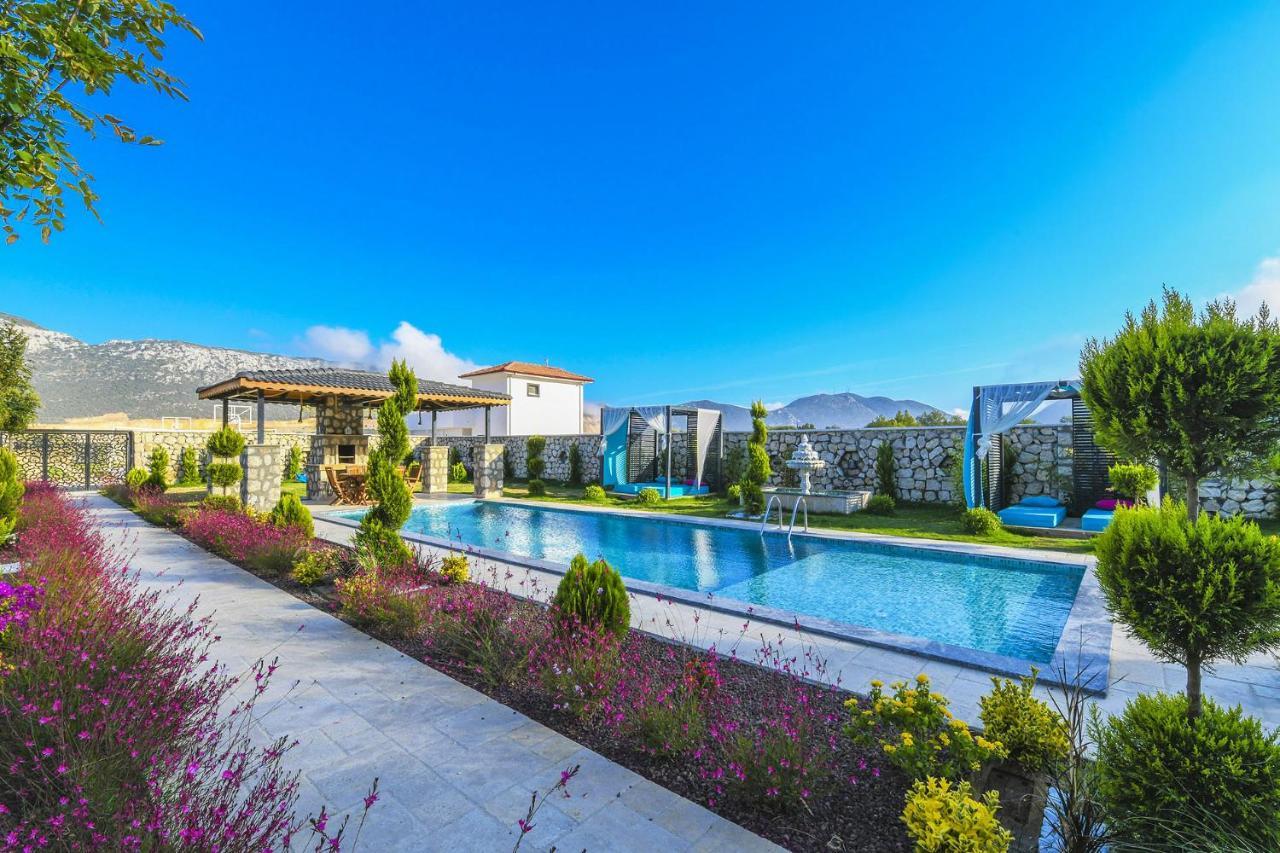 Villa Farm