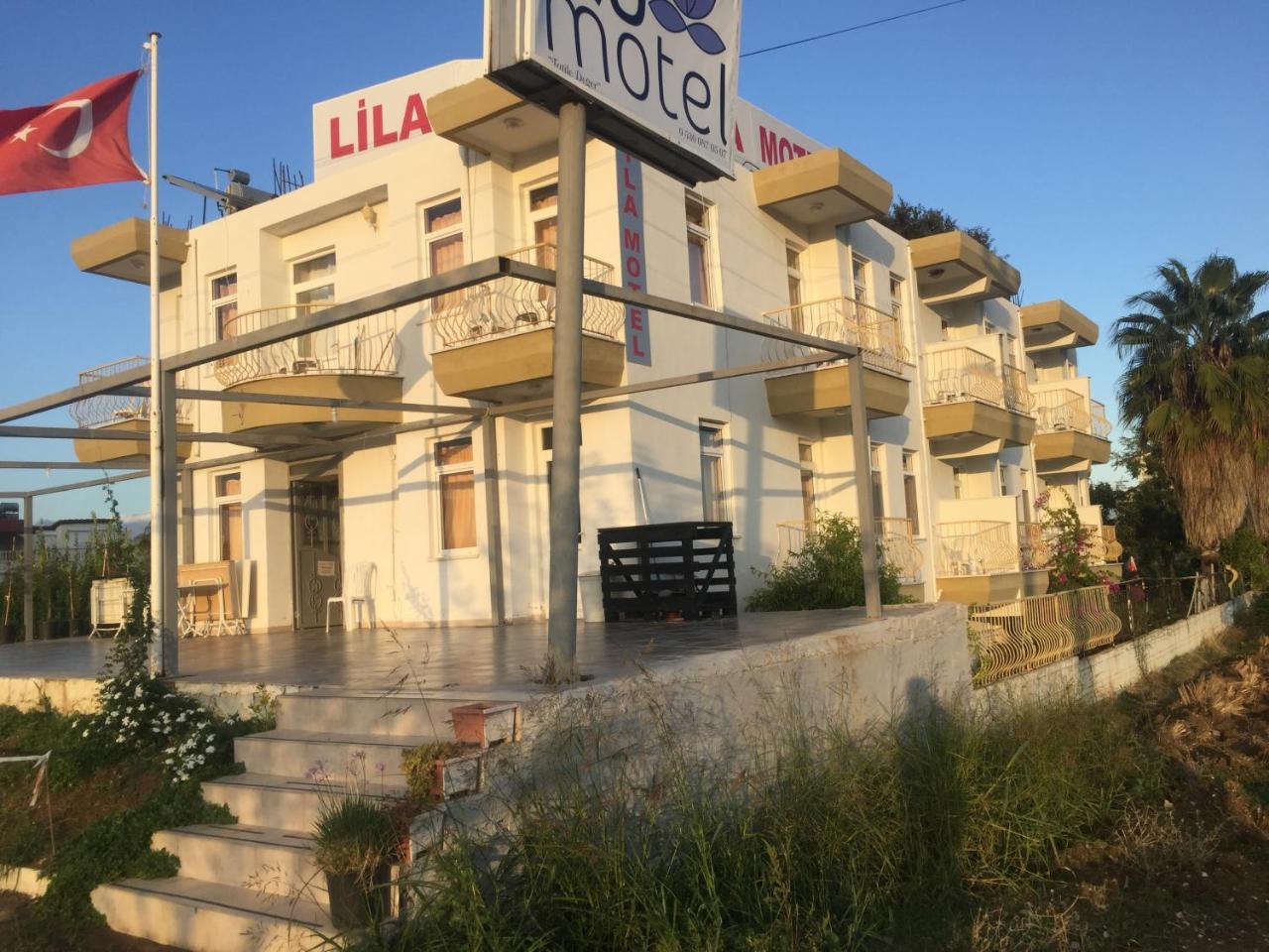 Lila *