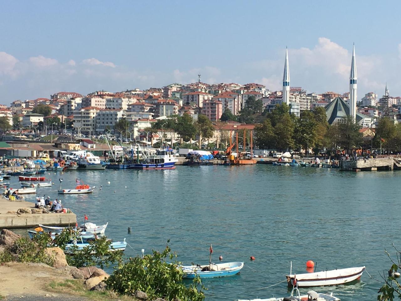 Kocan Hatice Karakocan Akcakoca