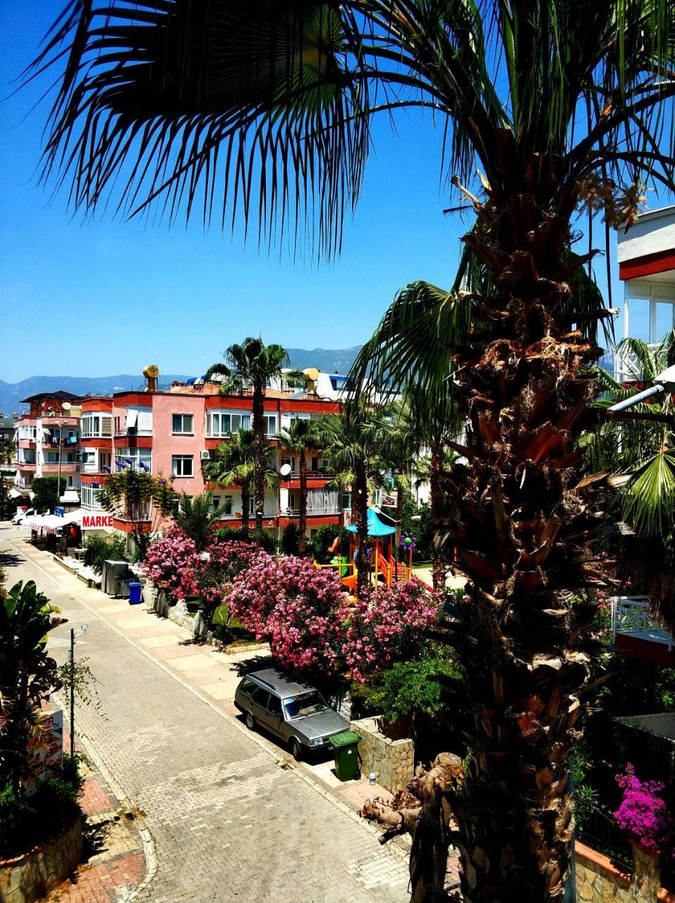 Best 11 Oba City Apartment