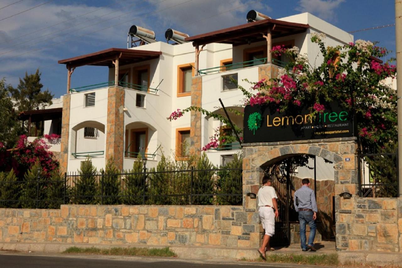 Lemon Tree