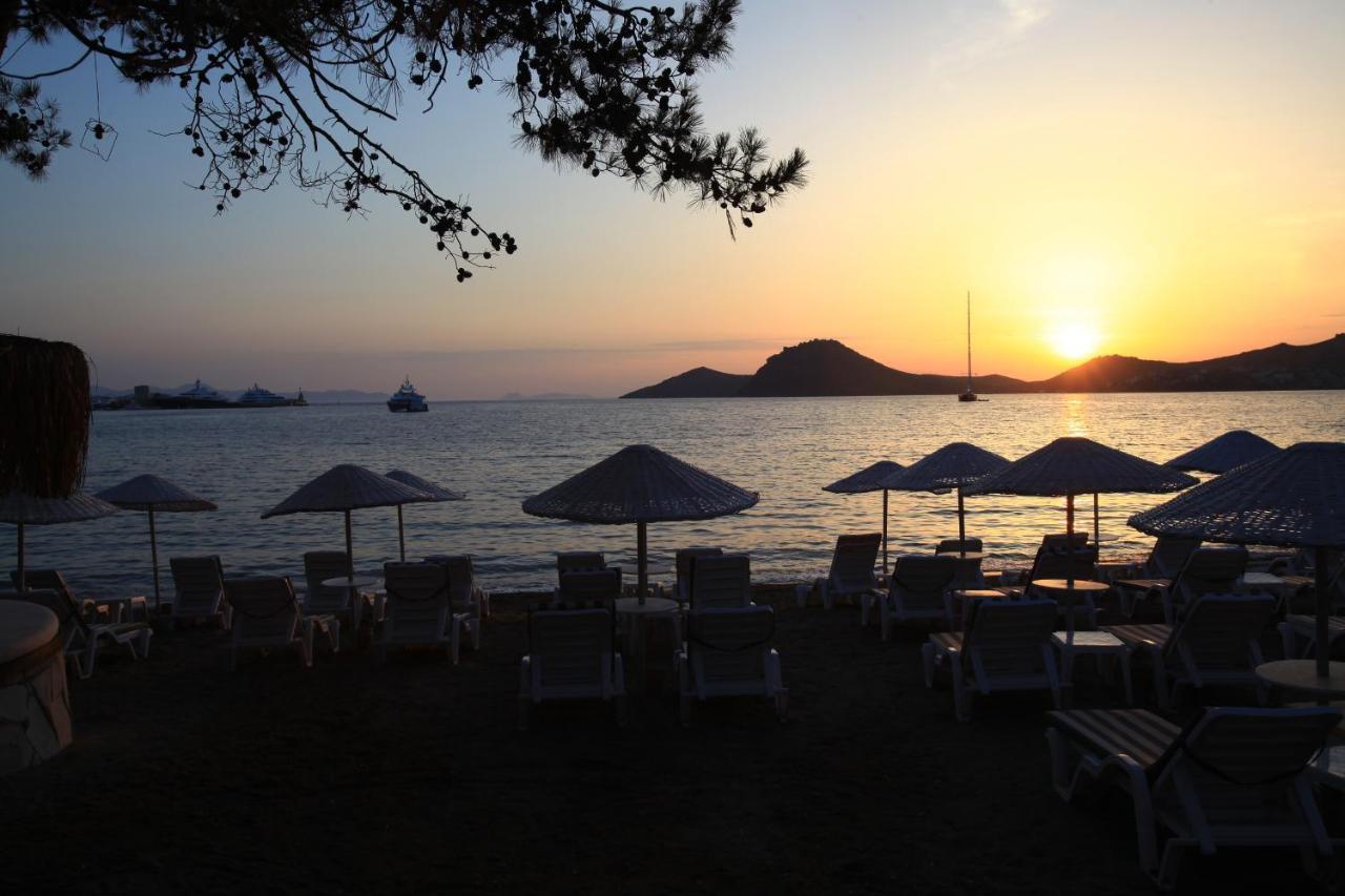 Aparthotel Mer-can Story 3*
