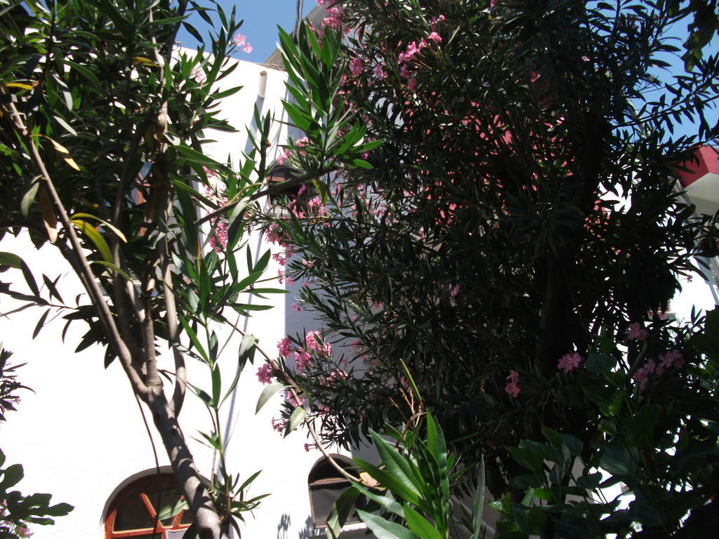 Adrasan Gelidonya Hotel Adrasan
