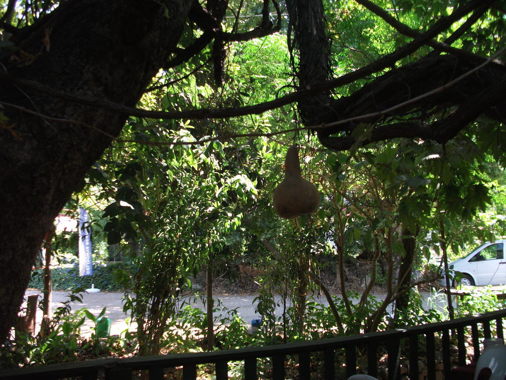 Hotel Adrasan Gelidonya Hotel