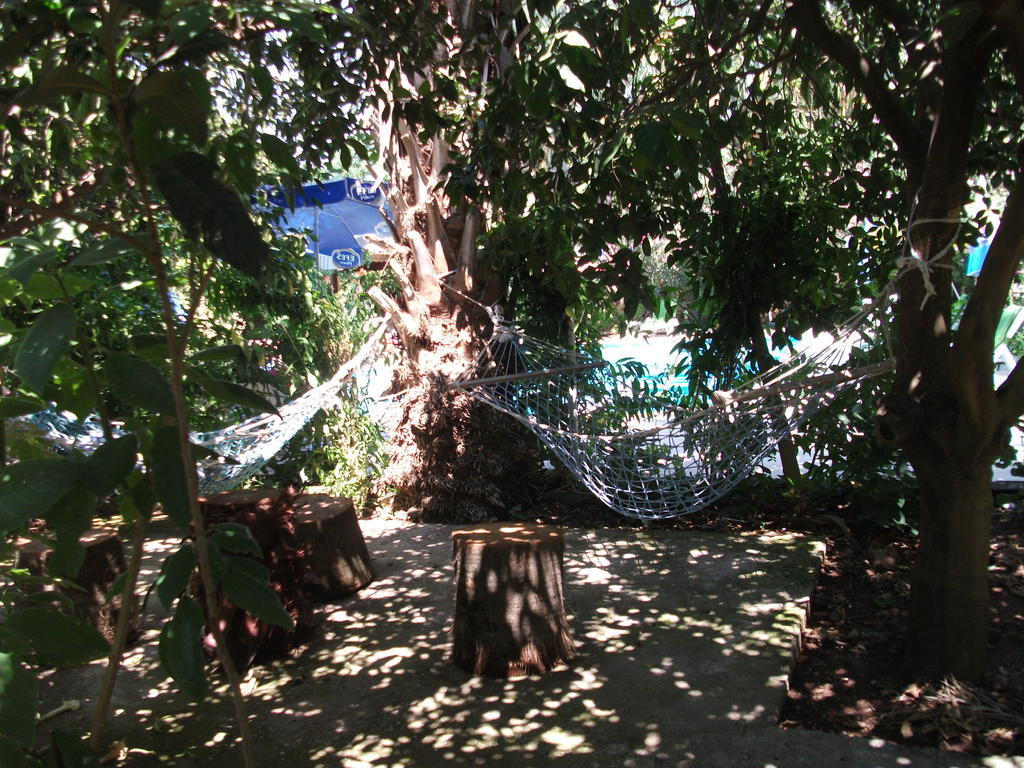 Adrasan Gelidonya Hotel 2* Adrasan