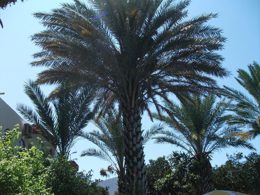 Adrasan Gelidonya Hotel 2* Adrasan