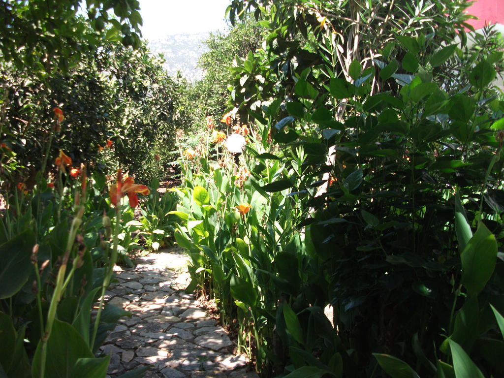 Hotel Adrasan Gelidonya Hotel 2*