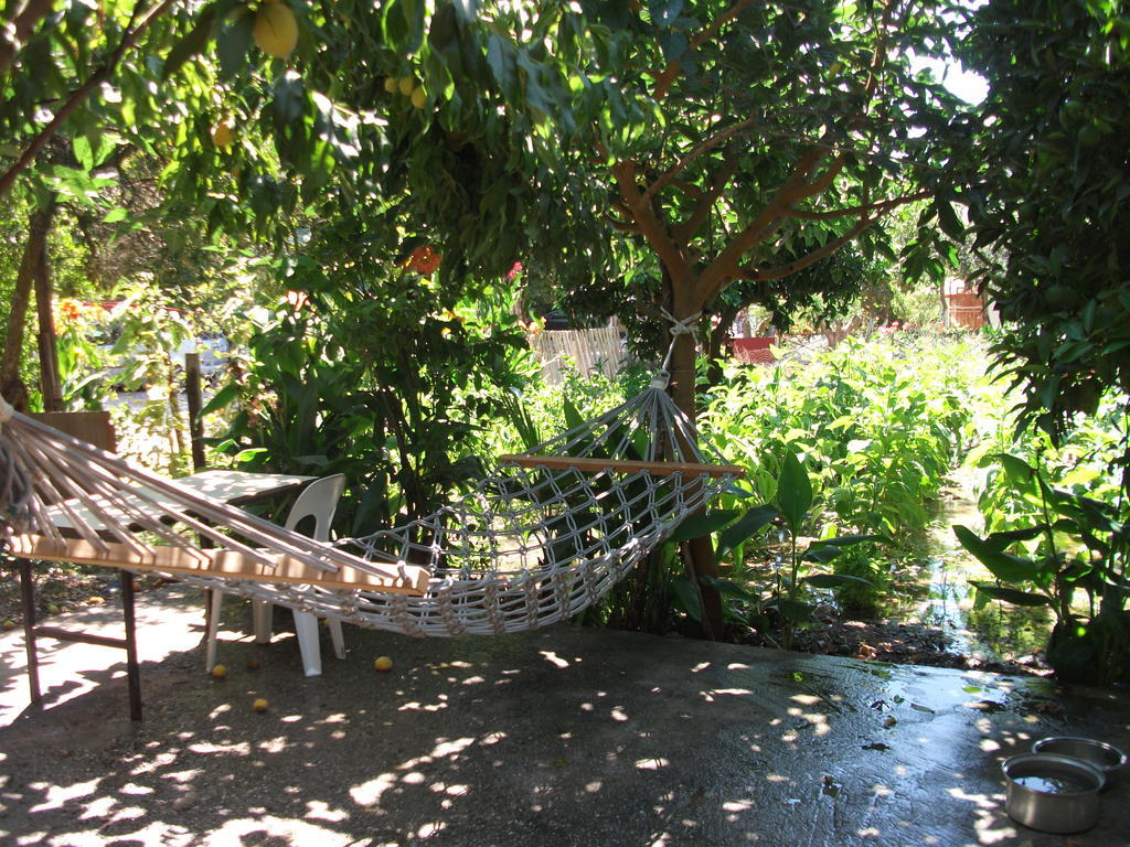 Hotel Adrasan Gelidonya Hotel Adrasan