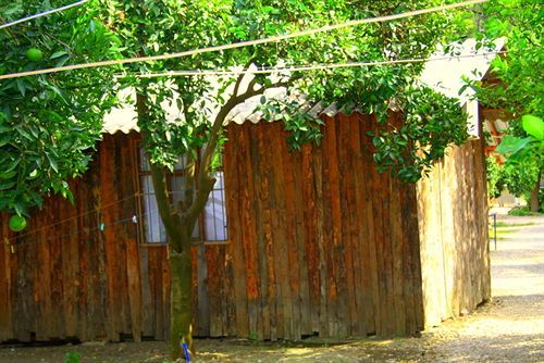 Saban Tree Holiday park Kumluca