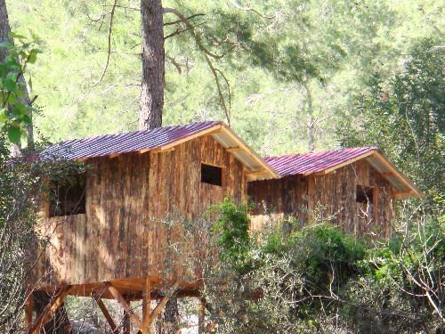 Holiday park Saban Tree Kumluca