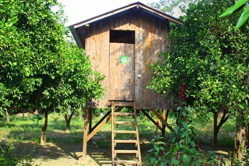 Saban Tree Holiday park
